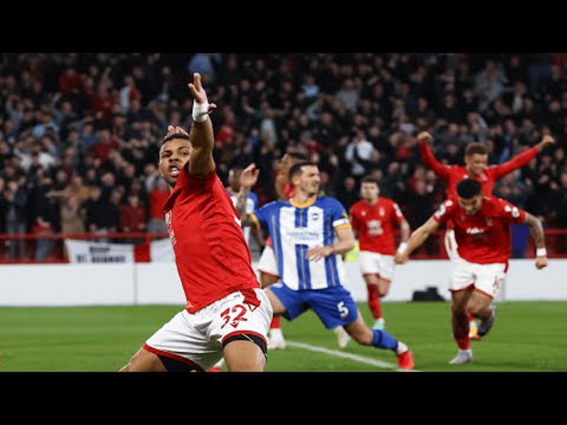 Брайтон нотингем форест. Брайтон нотингем форест
