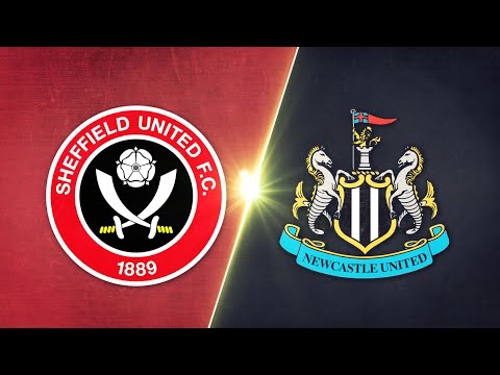 Sheffield United v Newcastle | Match in 3 Minutes | Premier League | Highlights