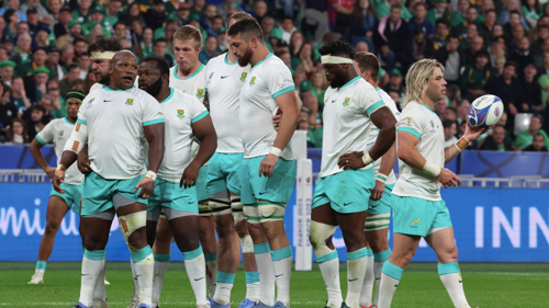 Defeat by Ireland leaves South Africa with Pollard poser